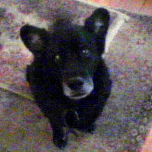 Micky