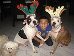 In Loving Memory of Lola-Claire