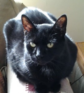 Remembering Mushy