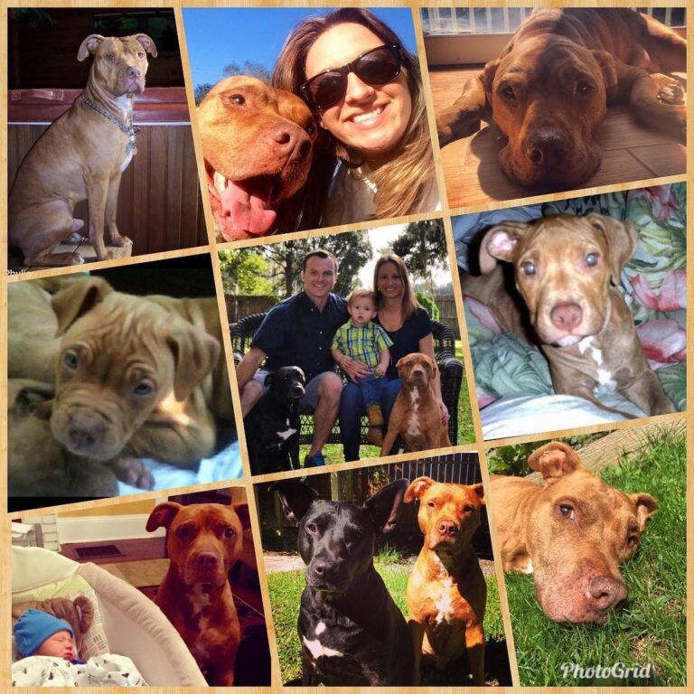 In memory of Rocco Meehan