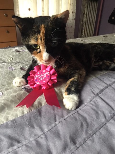In Memory of Sabrina