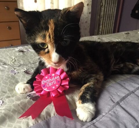 In Memory of Sabrina