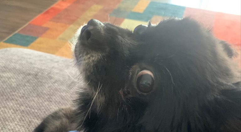 In Loving Memory of Coal