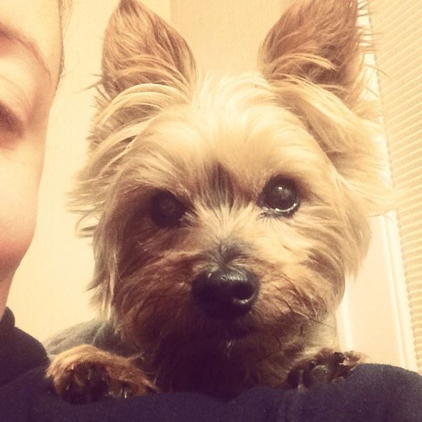 In loving memory of Lily Hubbard