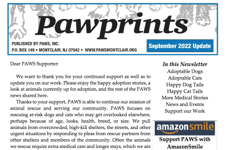 Pawprints – September 2022